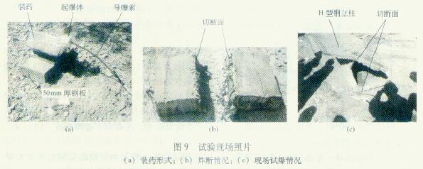 614143519.jpg